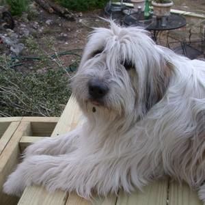 Meet your Posher, Elisa